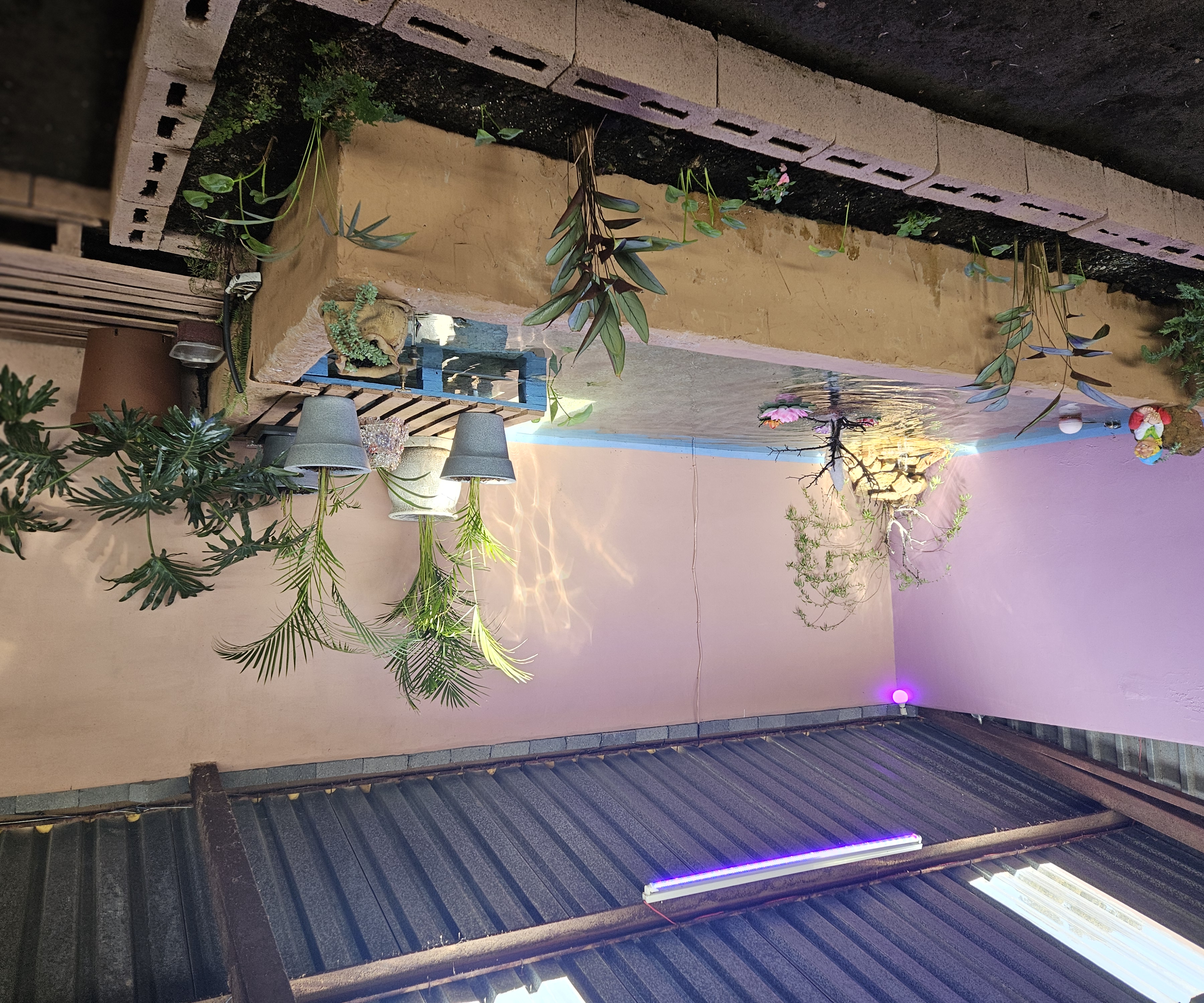 Garden 8.1